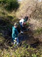 cleanup2013
